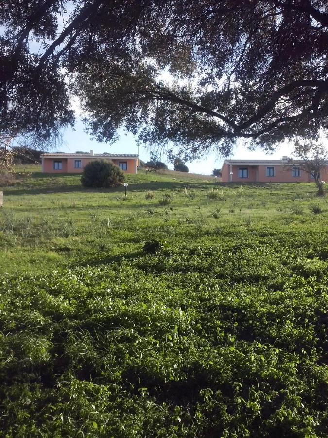 Agriturismo Gli Olivastri, Appartamento La Rosa Dei Venti Con Piscina E Solarium , Vista Mare ,Climatizzatore ,Wifi Aglientu Exterior foto