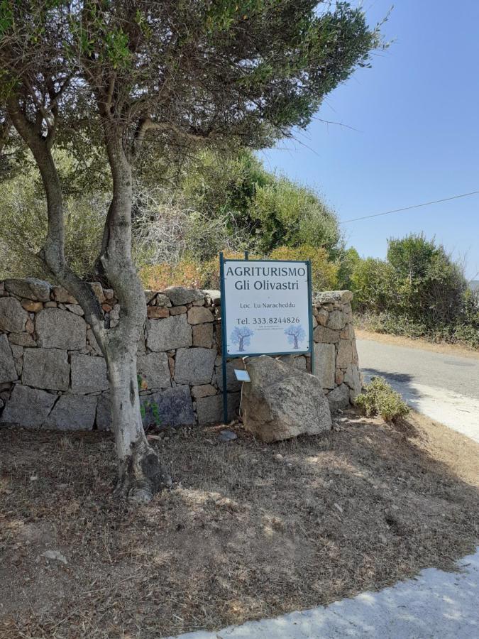 Agriturismo Gli Olivastri, Appartamento La Rosa Dei Venti Con Piscina E Solarium , Vista Mare ,Climatizzatore ,Wifi Aglientu Exterior foto