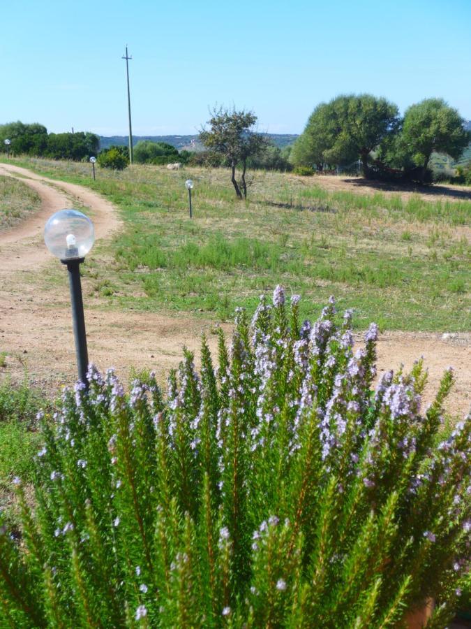 Agriturismo Gli Olivastri, Appartamento La Rosa Dei Venti Con Piscina E Solarium , Vista Mare ,Climatizzatore ,Wifi Aglientu Exterior foto